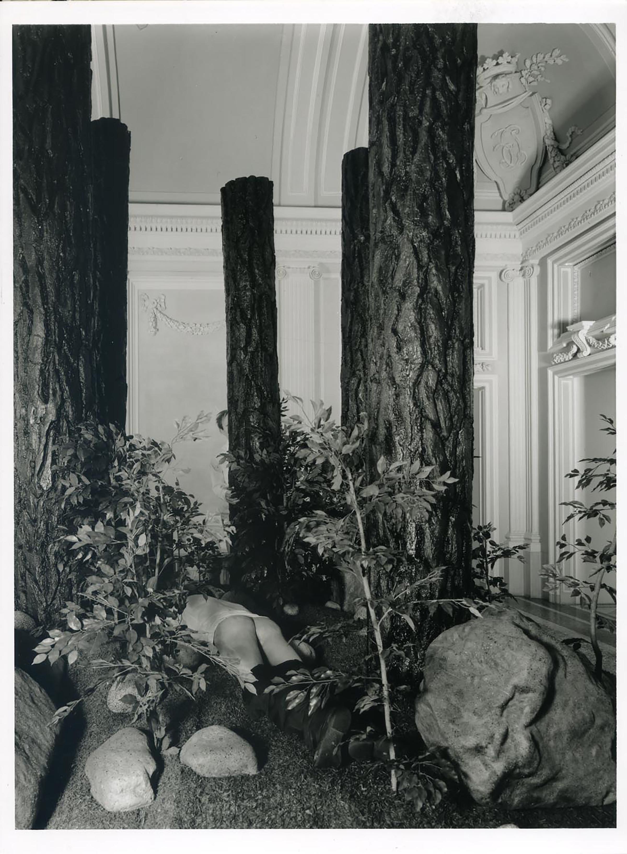 Paul McCarthy, The Garden, 1991-92